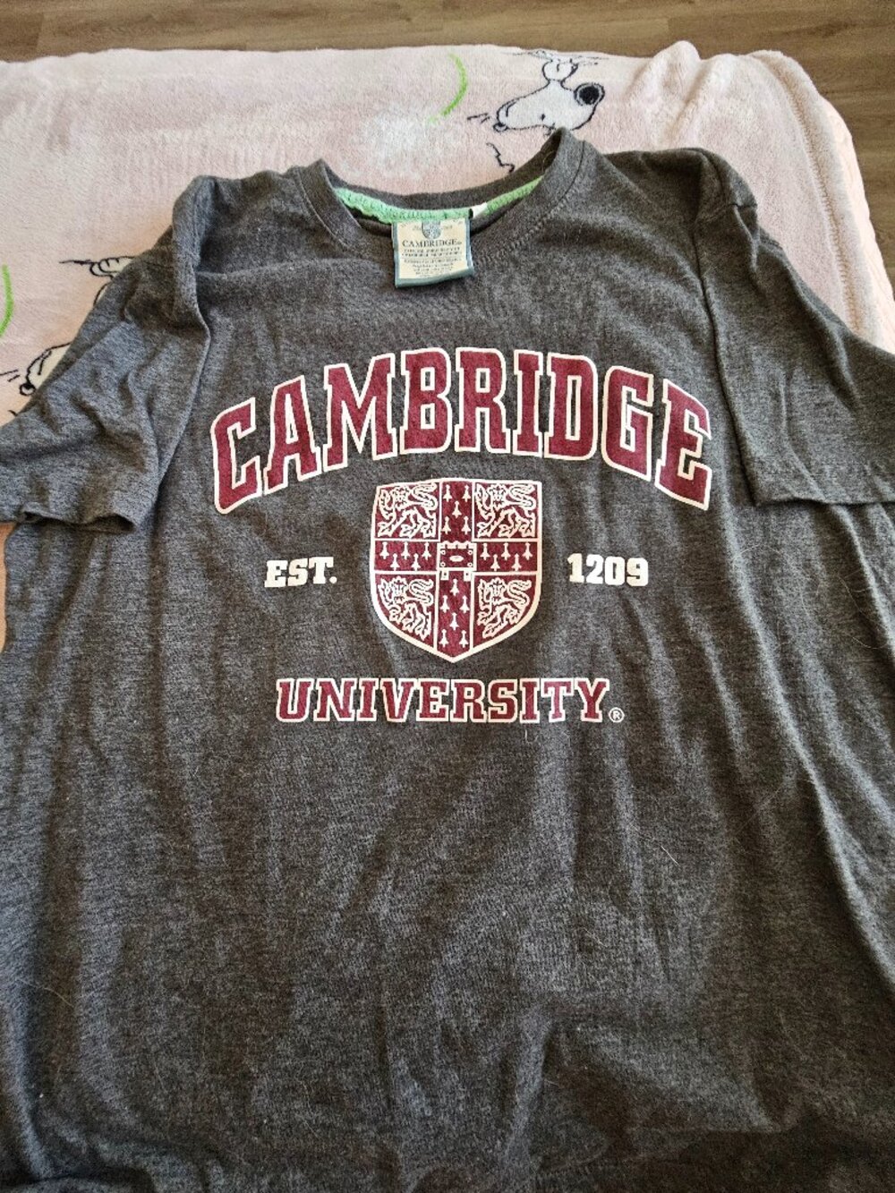 Official University of Cambridge T-Shirt Large Grey Collegiate Crest Logo Tee